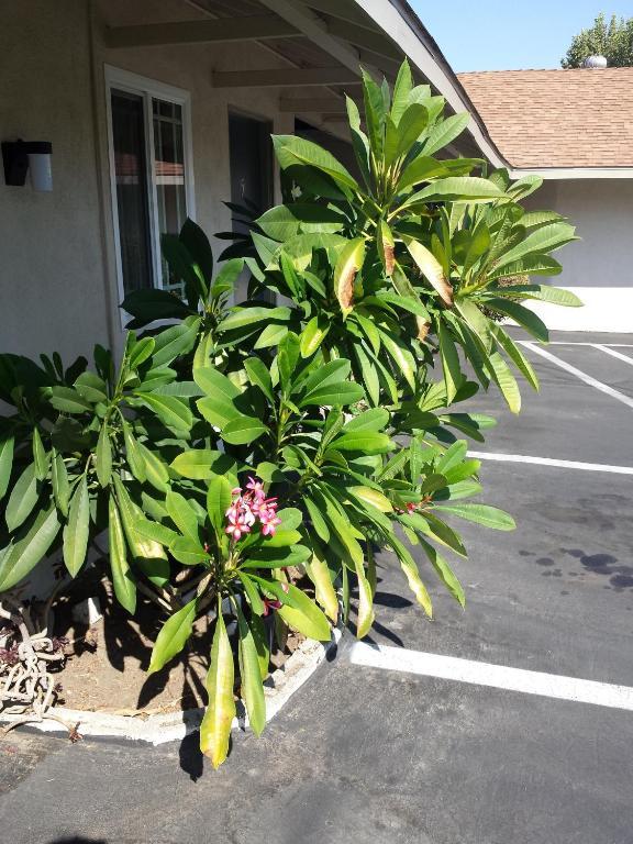 New Kansan Motel Rancho Cucamonga Dış mekan fotoğraf